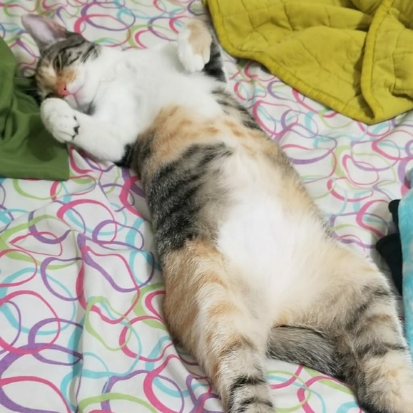 Not For Sale - Picture 1 of 1